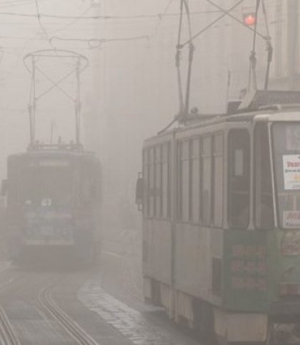 Погода у Львові та області 1 листопада: туман і хмарно