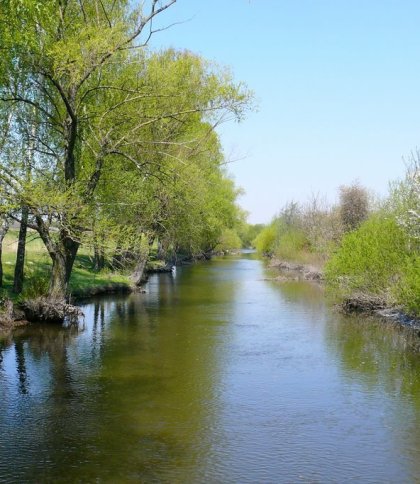 Річка Верещиця на Львівщині