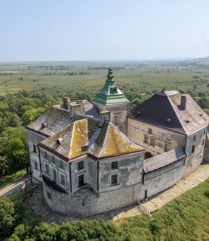 Олеський замок внесуть до Державного реєстру нерухомих пам’яток України