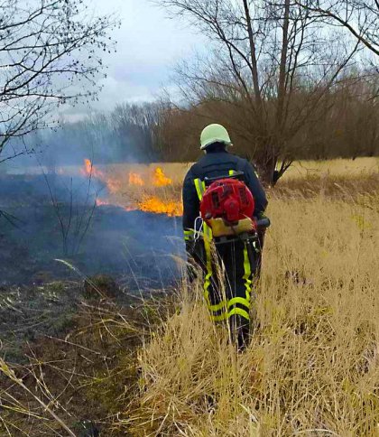 Сезон розпочато: рятувальники Львівщини загасили 5 пожеж сухої трави