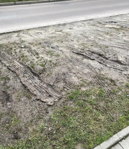Паркуються на газоні та руйнують його: у Львові люди обурені недобросовісними водіями