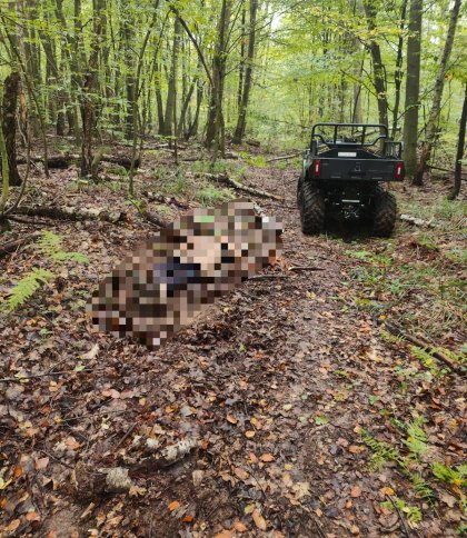 У лісі на Стрийщині рятувальники знайшли тіло зниклого 57-річного чоловіка