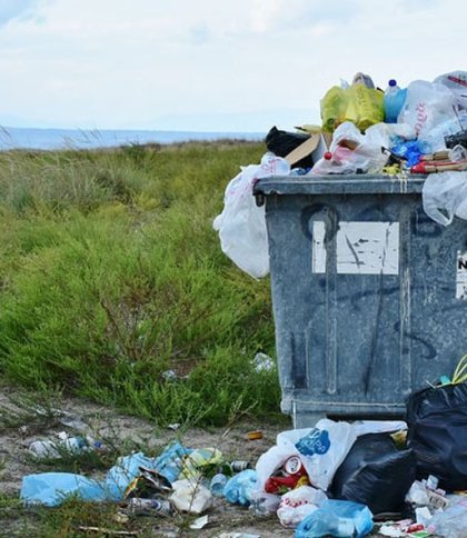 На Львівщині посадовець дозволяв викидувати сміття поза межами полігону