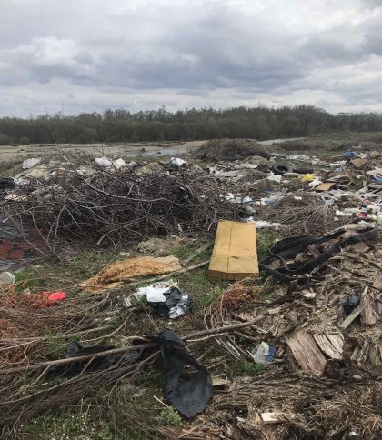 «Будівельне сміття та обрізки дерев»: в одному із сіл Львівщини виявили стихійне сміттєзвалище