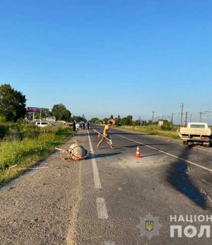 У ДТП на Самбірщині зіткнулися "Mercedes-Benz" та "Honda", є постраждалі