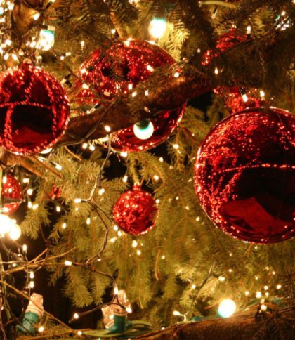 Новорічна ялинка у Червонограді: чи встановлюватимуть цьогоріч у місті святкове дерево
