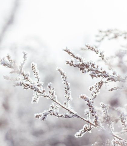 Яким буде перший день зими на Львівщині: прогноз погоди на 1 грудня