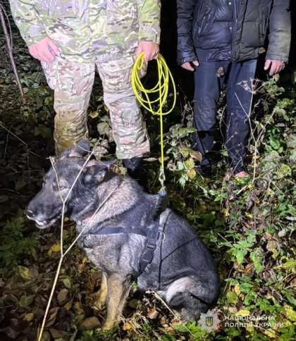 Поліцейський пес допоміг знайти зниклого чоловіка у лісі на Львівщині