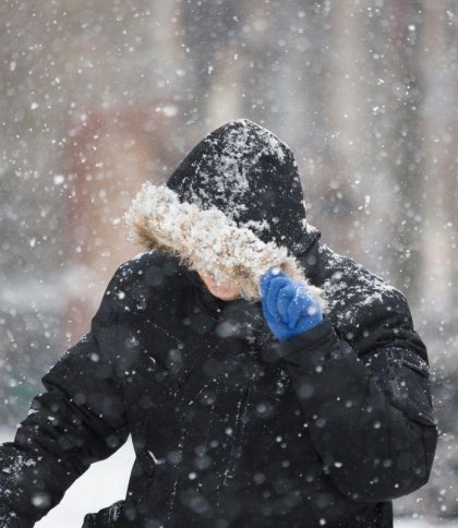 Хуртовини та мокрий сніг: погода на Львівщині 6 квітня