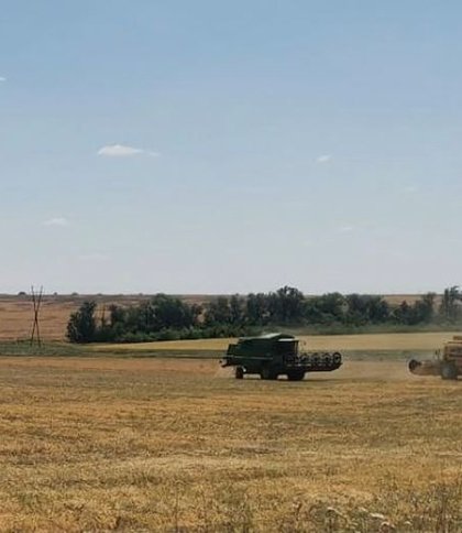 У Маріуполі росіяни крадуть врожай у фермерів