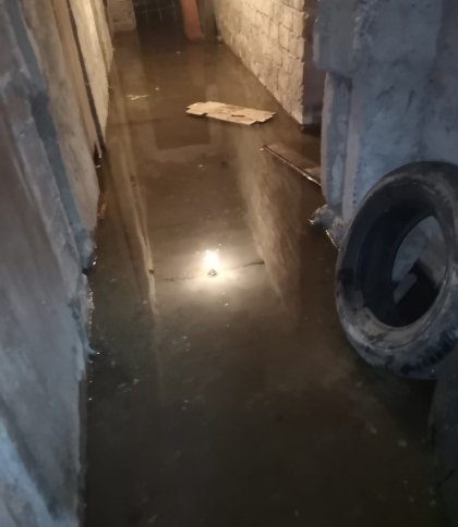 Води по коліна та жахливий сморід: мешканці Львова скаржаться на брудний підвал
