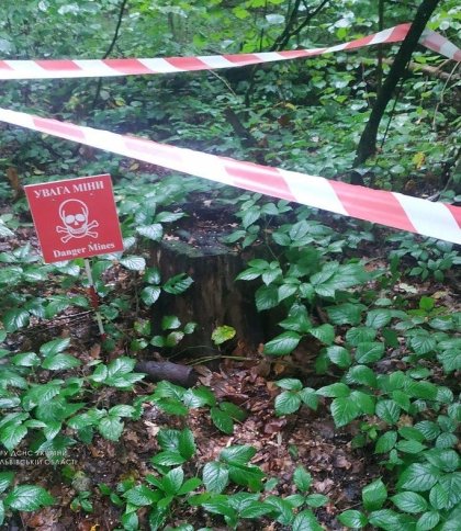Пішли по гриби, а знайшли міни часів Другої світової: на Стрийщині виявили застарілі боєприпаси