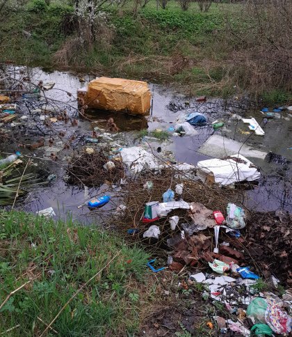 «Пластикові пляшки та пакети зі сміттям»: жителі Рясне-1 просять поприбирати територію