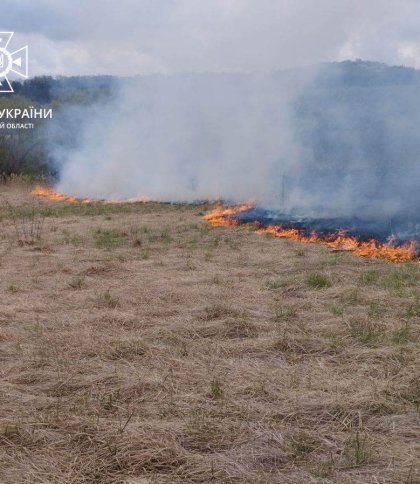На Золочівщині вогонь знищив 2 тис. кв. м сухостою