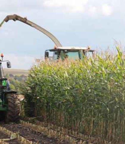 В Україні зібрали понад 70 млн тонн врожаю