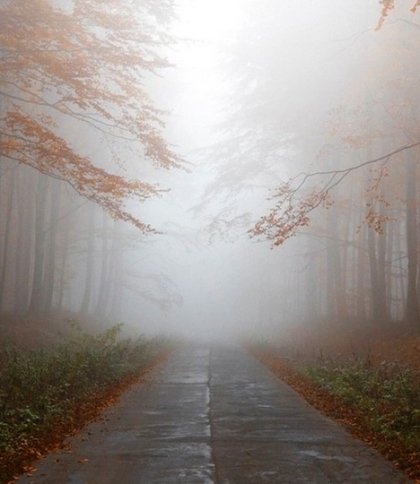 На Львівщині попереджають про густий туман: погода на 21 вересня