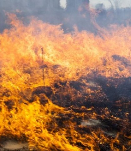 Синоптики попереджають про пожежну небезпеку на Львівщині