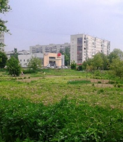 Перша в Україні: Львівщина отримала найбільший прибуток від земельних аукціонів
