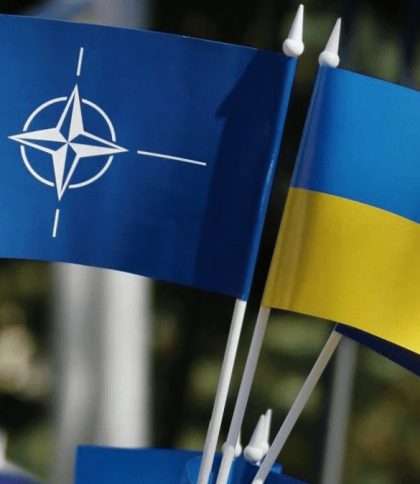 Україна не робитиме кроків до НАТО з огляду на позицію членів Альянсу