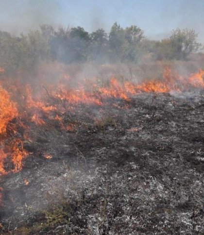 Протягом доби на Львівщині ліквідували три пожежі сухої трави