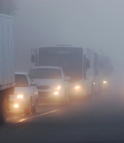 Синоптики попередили про густий туман у Львові та області