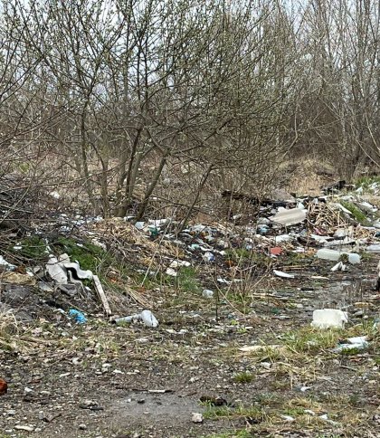 Земля встелена відходами: на Львівщині зафіксували стихійні незаконні сміттєзвалища