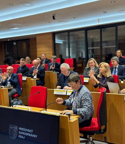 Робоча група ЄКР підтримала започаткування макрорегіональної стратегії ЄС для Карпатських регіонів