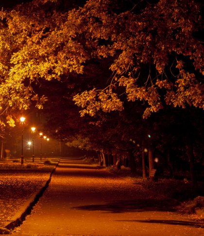 У Стебнику дві ліцеїстки побили 15-річну дівчину через образи матерів