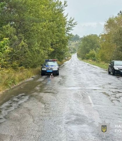 Поліція знайшла водія, який на смерть збив пішохода біля Бібрки