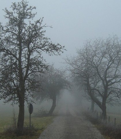 На Львівщині 3 грудня синоптики прогнозують туман та ожеледицю