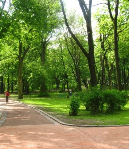 У львівському парку створять унікальну доріжку: чим вона особлива