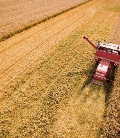 На Львівщині зібрали понад мільйон тонн зерна: озимий та ярий ячмінь вродив краще, ніж торік