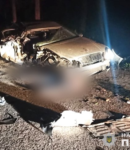 На Стрийщині у зіткненні авто з деревом загинув пасажир