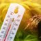 На Львівщину йде спека до +34°C: синоптики попереджають про надзвичайну пожежну небезпеку