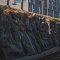 У Львові планують перейменувати музей «Територія Терору»