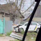 Поліцейське авто під час погоні за порушником врізалося в дерево на Золочівщині