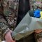 Львівщина 13 травня попрощається з загиблими військовими: імена