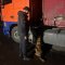 На кордоні з Польщею собака винюхав тютюн без акцизу
