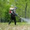 У Львові впродовж трьох днів оброблятимуть парки від кліщів