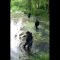 На Львівщині водолази шукали зниклу 71-річну жінку