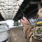 На Львівщині у пенсіонерки конфіскували ікону на кордоні