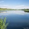 На Львівщині трактор перекинувся у водойму: загинув 52-річний водій
