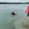 Водолази другий місяць шукають зниклого на Ясниському кар’єрі чоловіка