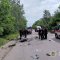 У ДТП на Львівщині загинула жінка та четверо людей травмовані