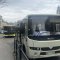 У Львові в останні вихідні травня до Шевченківського гаю можна буде доїхати автобусом