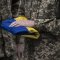 На Львівщині 9 серпня попрощаються з загиблими військовими: імена