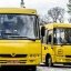 Львівщина отримала нові шкільні автобуси: які громади їх отримають