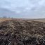 Громаді повернули ділянку площею 15 га біля Львова