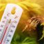 На Львівщину йде спека до +34°C: синоптики попереджають про надзвичайну пожежну небезпеку