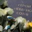 Віддали життя за демократичні цінності: у Львові вшанували пам’ять Героїв Небесної Сотні